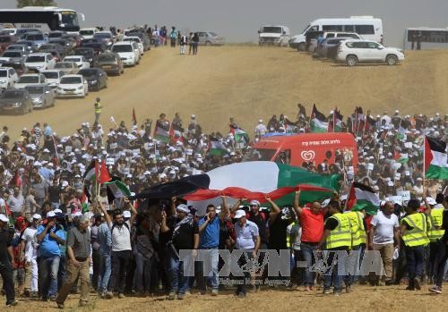 Египет отметил необходимость реализации принципа «двух государств» Палестины и Израиля - ảnh 1
